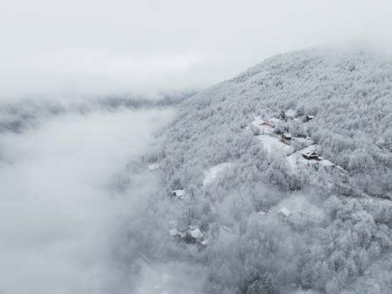 A forested slope dusted with frost and snow in Muntele Rece, seen from above in winter