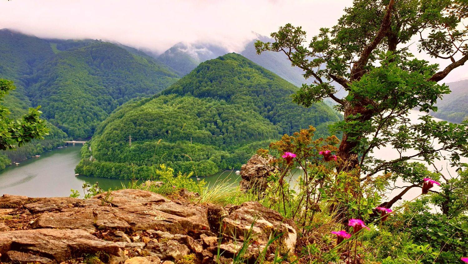 View over Lacul Tarnița from Piatra lui Lucaci, among rocks and vegetation