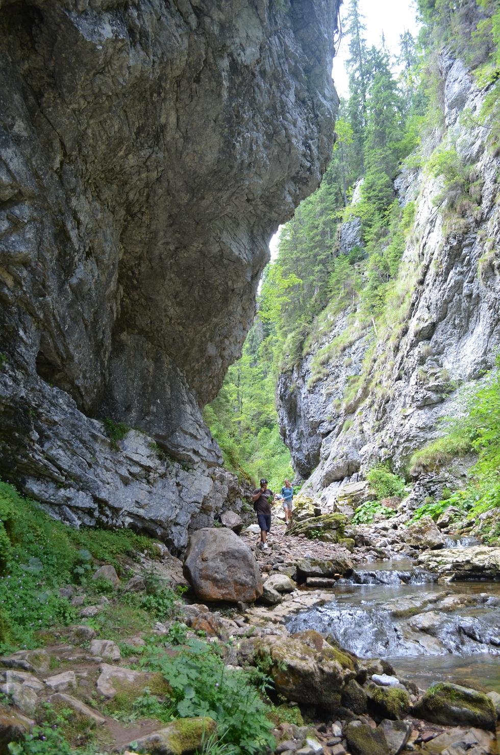 Landscape from Someșul Rece, Cluj — rock walls, forest, and the river running through the stones